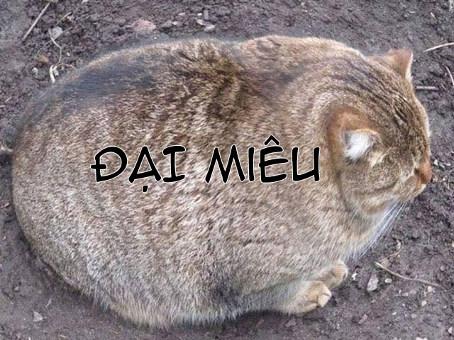 Đọc truyện hentai Love you as Kill you - Oneshot