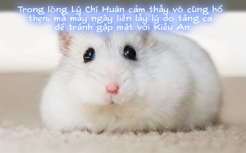 Đọc truyện hentai Tiểu sử của Chen Qiaoan Chương cuối - Full toàn bộ