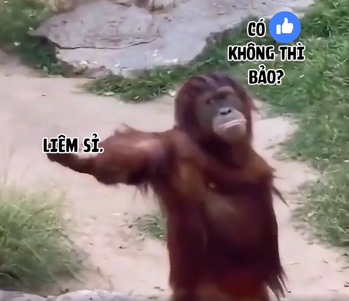 Đọc truyện hentai Làm tình với con gái chủ tịch tại nhà kho của công ty - Oneshot