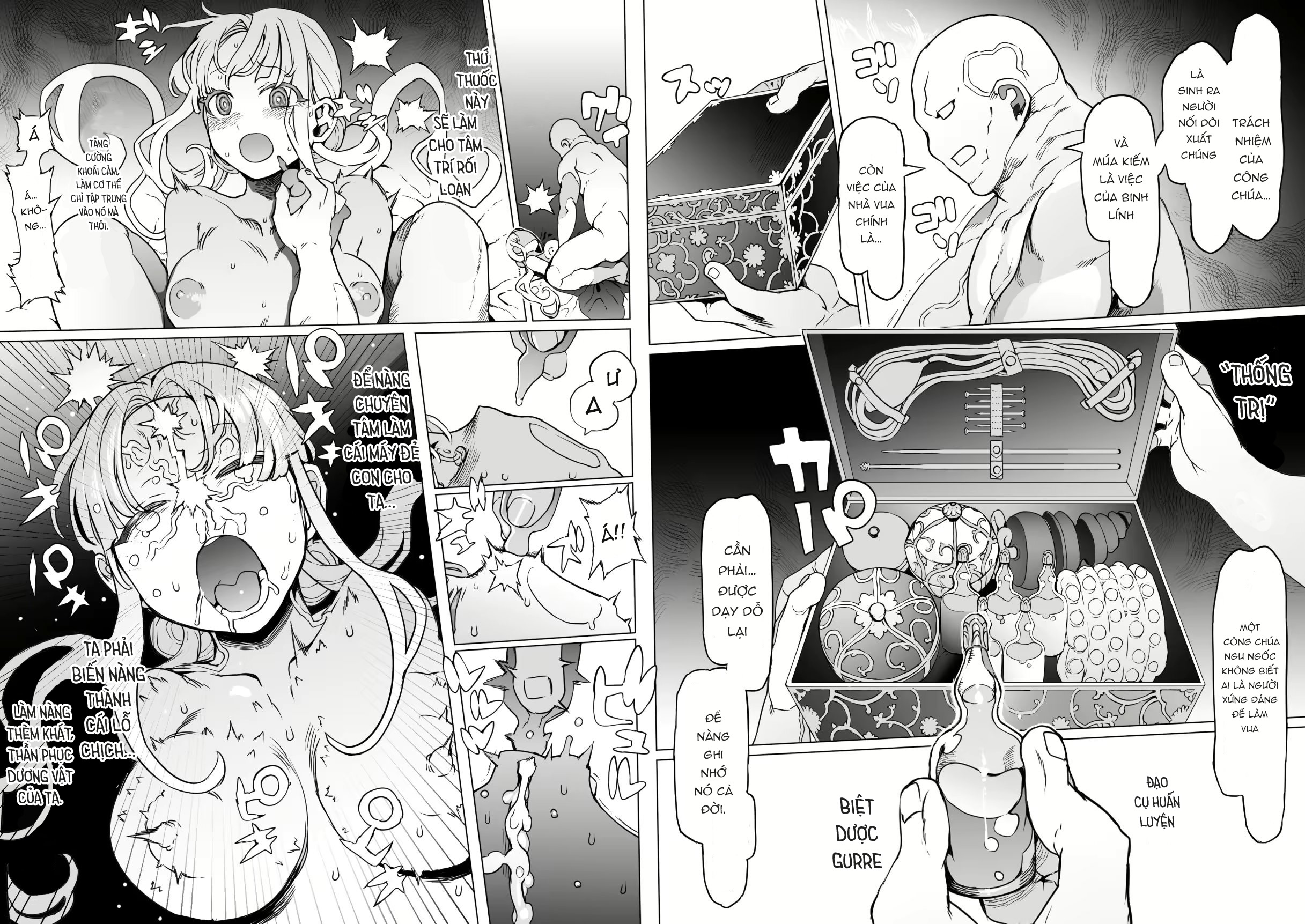 Đọc truyện hentai Người sẽ trở thành vua Kỷ lục huấn luyện công chúa vua Chap 1