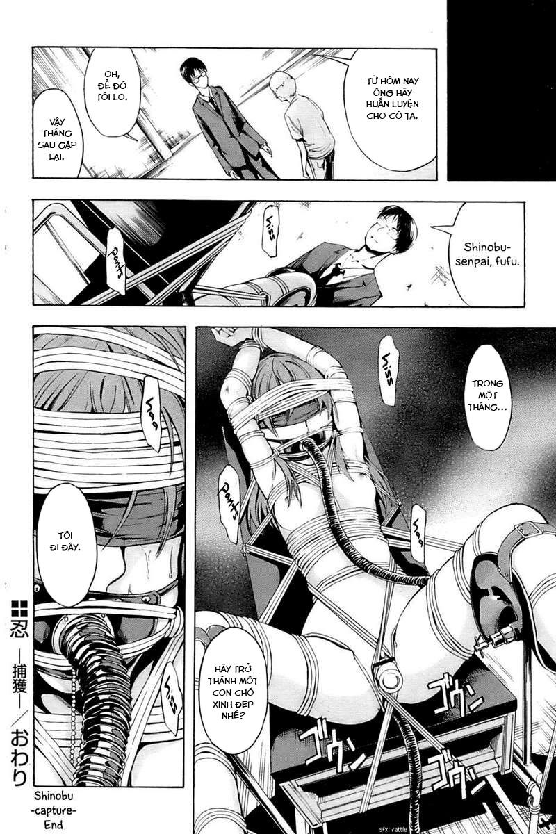 Đọc truyện hentai Shinobu Chap 1