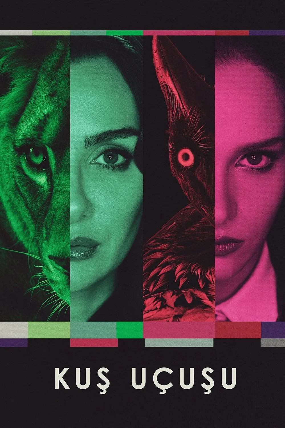 Đôi Cánh Tham Vọng