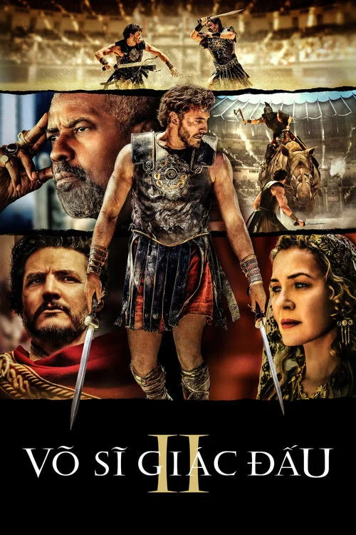 Võ Sĩ Giác Đấu 2