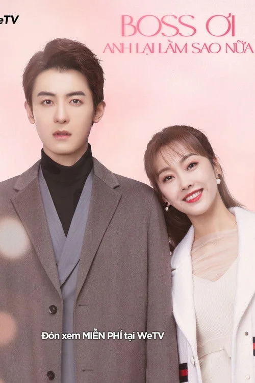 Làm Sao, Boss Lại Làm Sao Nữa?