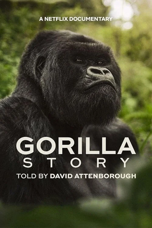 Hành Trình Của Khỉ Đột – Qua Giọng Kể David Attenborough